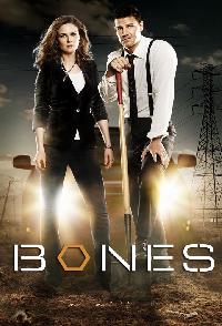 Bones